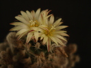 DSC08025