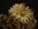 DSC08026