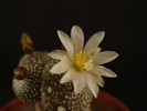DSC08027