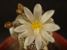 DSC08032