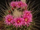 DSC08044
