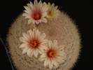 DSC08047