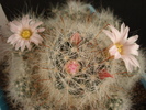 DSC08064