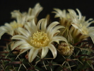 DSC08068
