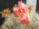 DSC08080
