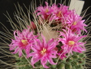 DSC08089