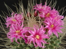 DSC08090