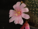 DSC08100