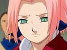 379698-naruto_sakura0124_thumb