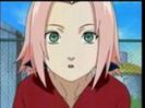 379782-naruto_sakura0580_thumb
