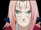 379771-naruto_sakura0573_thumb