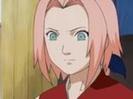 379804-naruto_sakura0589_thumb