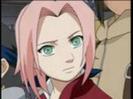 379805-naruto_sakura0590_thumb