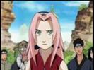 379811-naruto_sakura0596_thumb