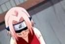 thumb_naruto_sakura0377