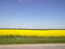 03052010052