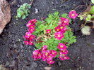 05052010810
