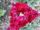 DSC02208