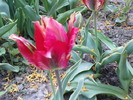DSC02218