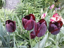 DSC02220