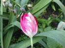 DSC02223