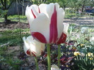 DSC02265