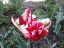 DSC02270