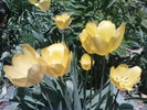 DSC02288