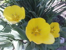 DSC02289