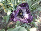 DSC02346