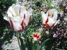 DSC02349