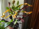 Picture 080