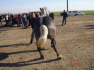 DSC07997