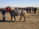 DSC07998