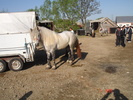 DSC07999