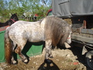 DSC08000