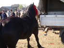 DSC08007