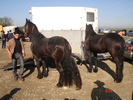 DSC08008