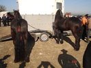 DSC08009