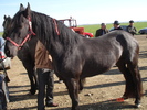 DSC08010