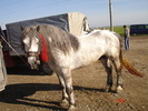 DSC08011