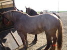 DSC08013