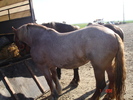 DSC08014