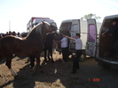 DSC08015