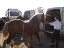DSC08016