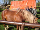 DSC08019