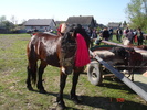 DSC08022