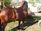 DSC08023
