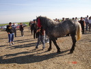 DSC08038