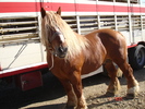 DSC08044